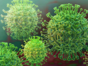 coronavirus en ecuador